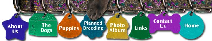 Kendian Kennels Field Spaniel Planned Breedings Menu